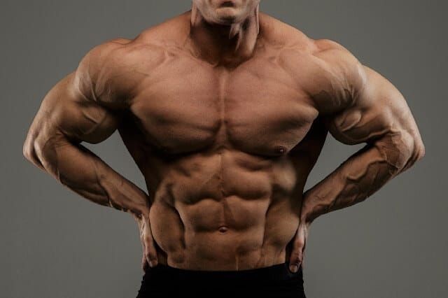 Cara Aman Transisi dari Bulking ke Cutting Tanpa Kehilangan Progres