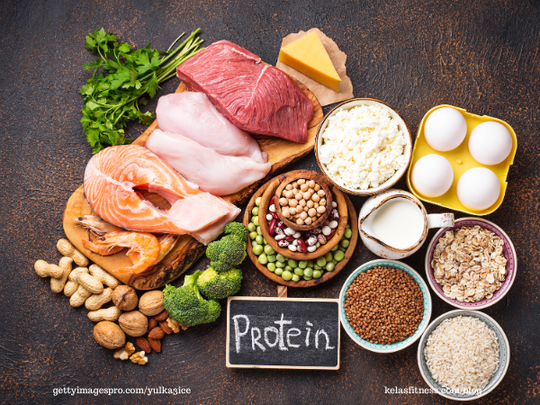 Apa Itu Protein? Fungsi, Struktur dan Manfaatnya bagi Tubuh